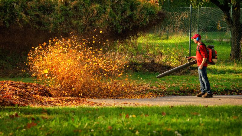 Leaf Removal Process