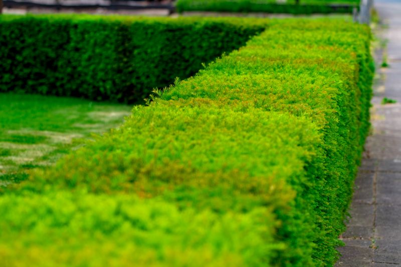 Hedge Landscaping
