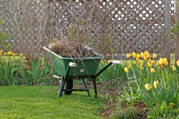 Flower Bed Cleanup Service in Elk River