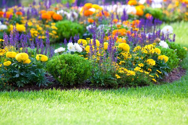 Flower Bed Maintenance in Elk River