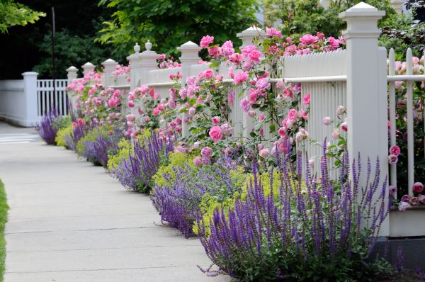 Garden Handyman Service in Elk River