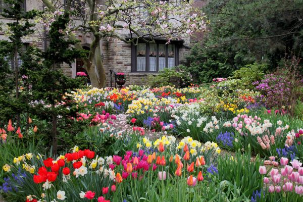 Garden Maintenance Service in Elk River
