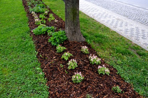 Mulch Replacement Service in Elk River