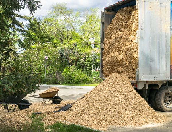 Wood Chips Delivery in Elk River