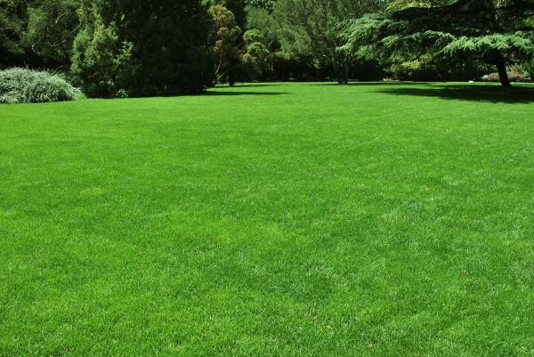 Lawn Landscaping in Elk River