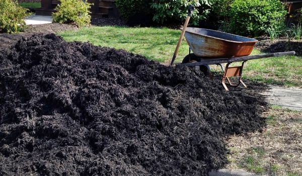 Black Mulch Delivery in Elk River