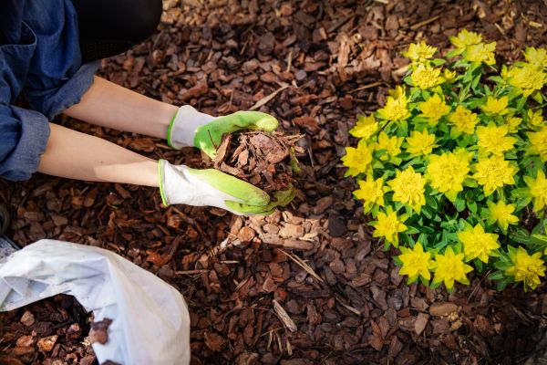 Garden Mulching in Elk River