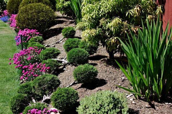Residential Gardening in Elk River