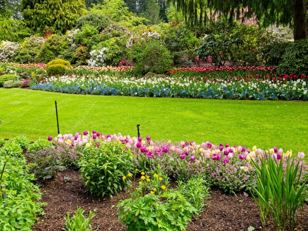 Residential Landscape Design in Elk River