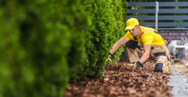 Cypress Mulch Installation in Elk River
