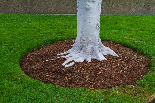 Brown Mulch Installation in Elk River