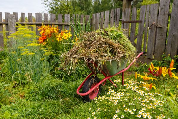 Garden Cleanup Service in Elk River