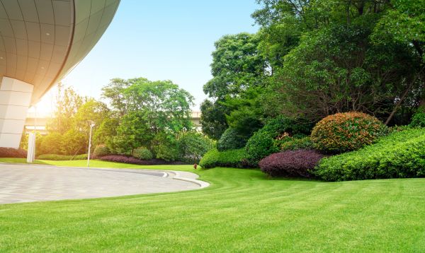 Business Landscape Design in Elk River