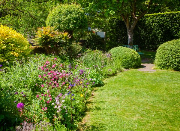 Yard Landscaping Service in Elk River