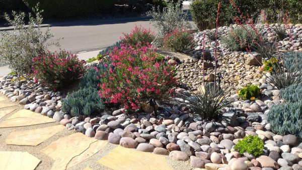 Xeriscape Landscaping in Elk River