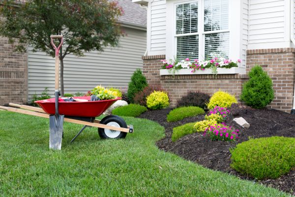 Tree And Shrub Planting in Elk River