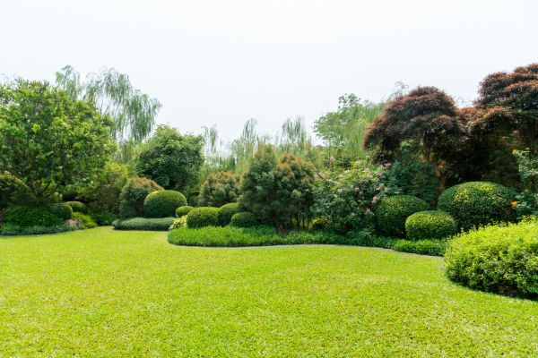 Tree Landscaping in Elk River