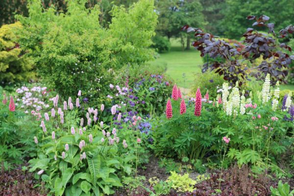 Flower Bed Planting in Elk River