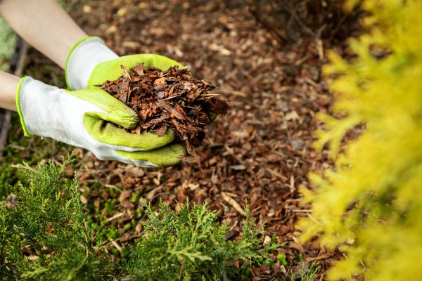 Garden Mulch Delivery in Elk River
