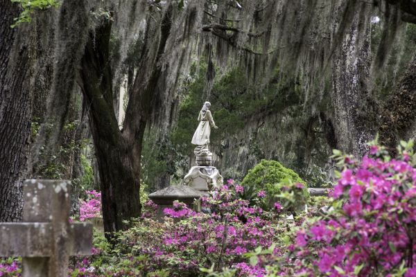 Cemetery Landscaping in Elk River