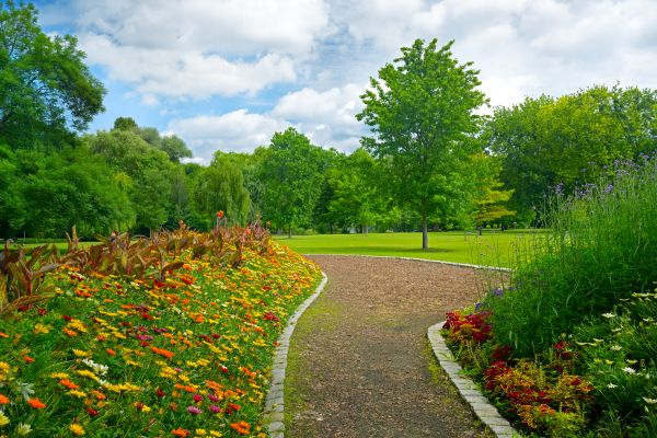 Park Landscaping in Elk River