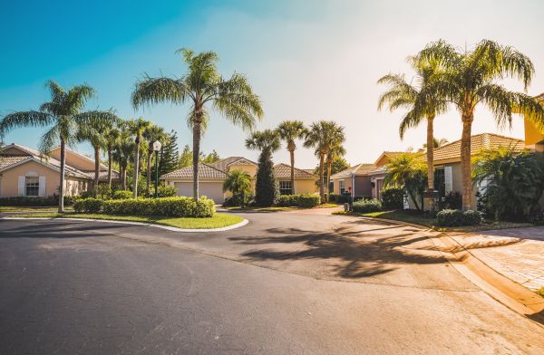 Palm Tree Landscaping in Elk River