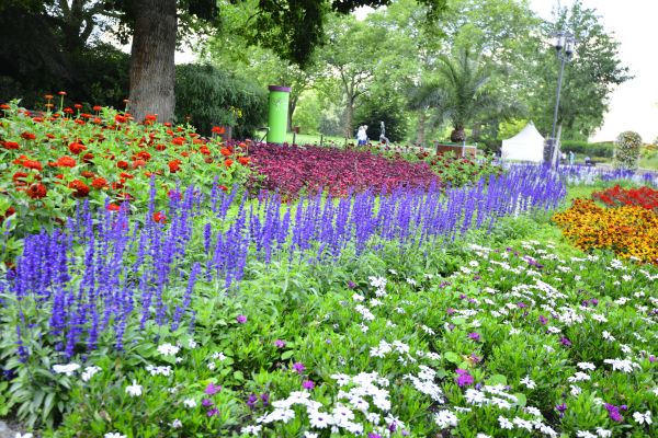 Perennials Planting in Elk River