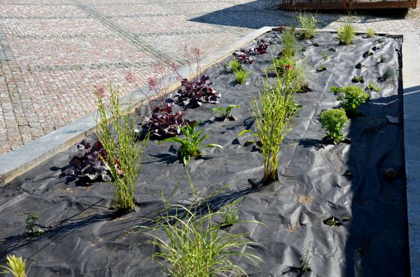 Landscape Fabric Installation in Elk River