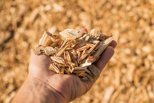 Wood Chips Spreading in Elk River