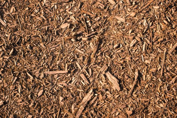 Wood Chips Removal in Elk River