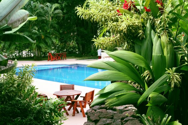 Pool Area Landscaping in Elk River