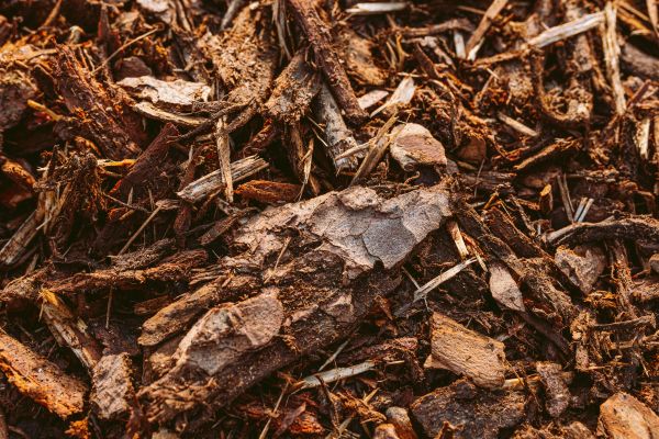 Bark Mulch Delivery in Elk River