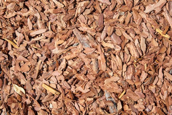 Pine Mulch Spreading in Elk River