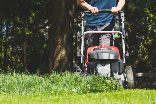 Garden Trimming Service in Elk River