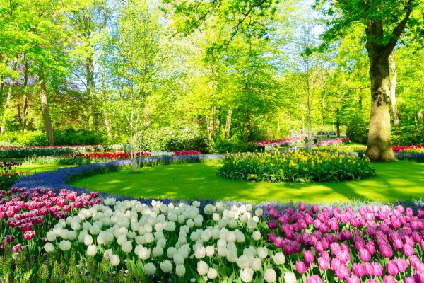 Flower Landscaping in Elk River