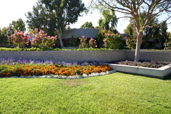 Commercial Landscape Service in Elk River