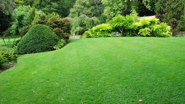 Commercial Landscape Design in Elk River