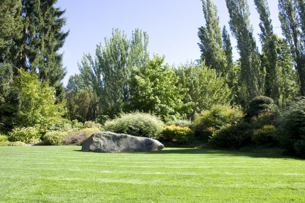 Yard Enlargement in Elk River