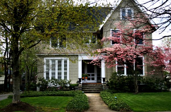 Ornamental Tree Planting in Elk River