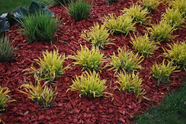Red Mulch Installation in Elk River