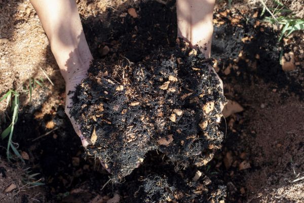 Organic Mulch Installation in Elk River