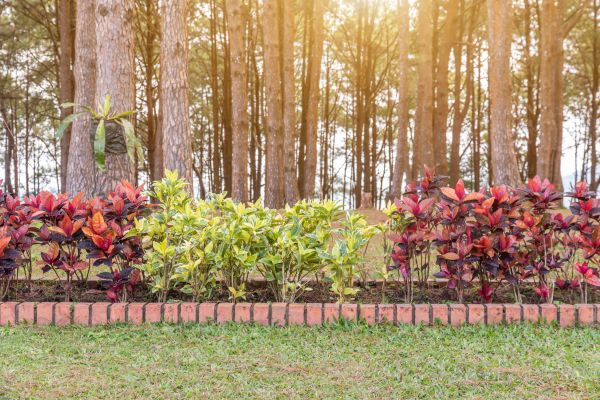 Small Garden Landscaping in Elk River