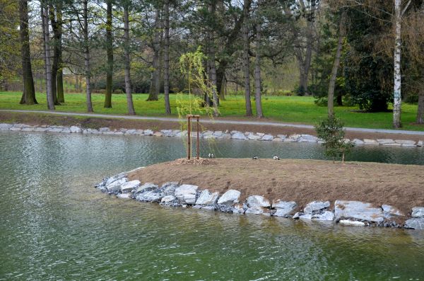 Pond Landscaping Service in Elk River
