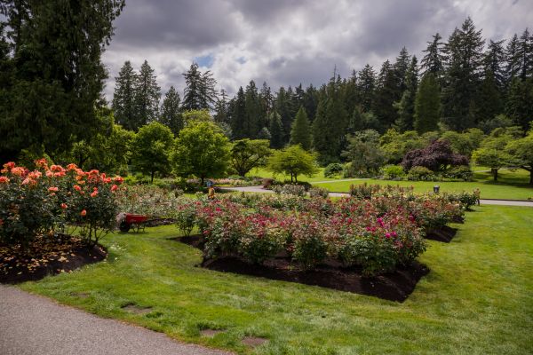 Flower Garden Landscaping in Elk River