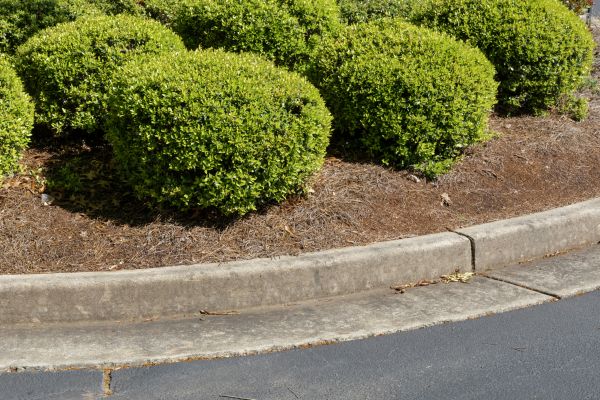 Pine Mulch Installation in Elk River