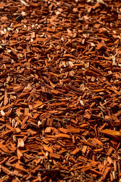 Cedar Mulch Spreading in Elk River