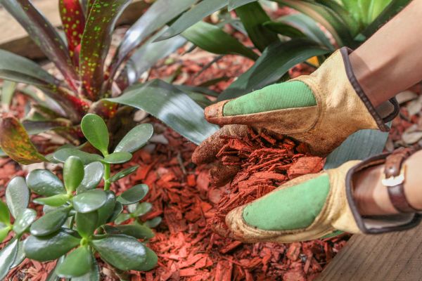 Residential Mulching in Elk River