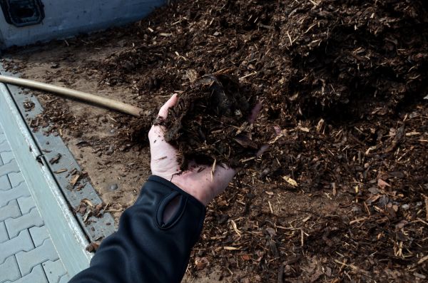 Condo Mulching in Elk River