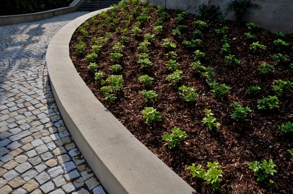 Commercial Mulching in Elk River