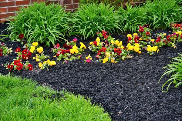 Apartment Mulching in Elk River